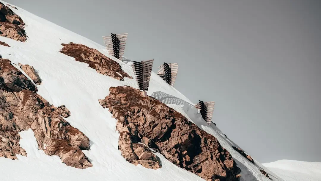 Conchage Suisse : Mythe ancestral ou futur marketing ? - illustration 2