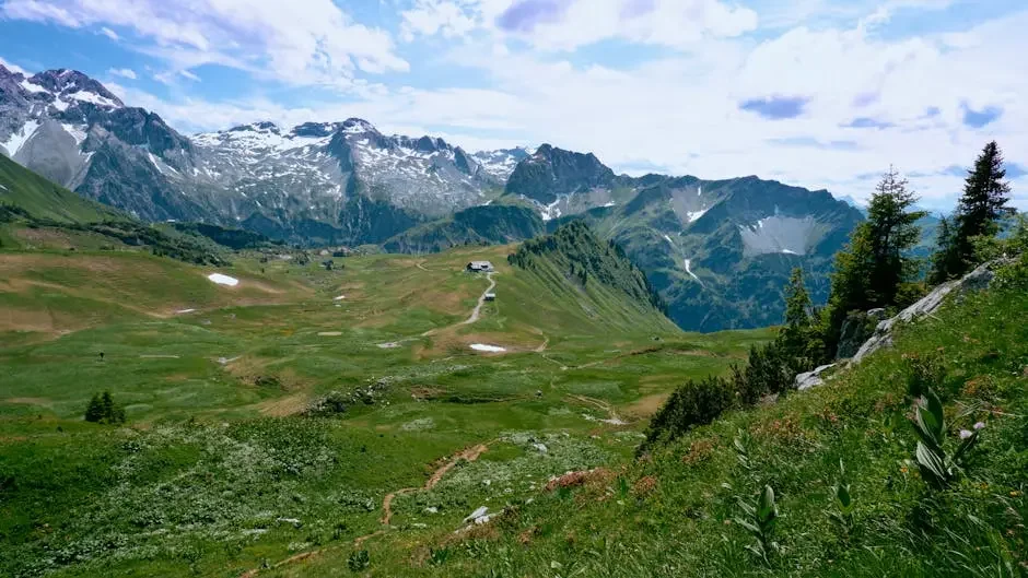 Pourquoi le lait alpin rend le chocolat suisse si crémeux ?